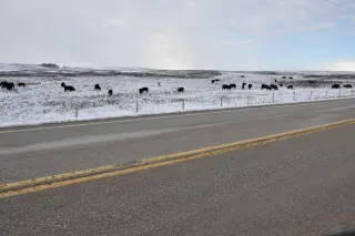 Range Road 14 Big Hill Springs  