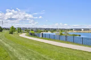1061 Sailfin Heath 