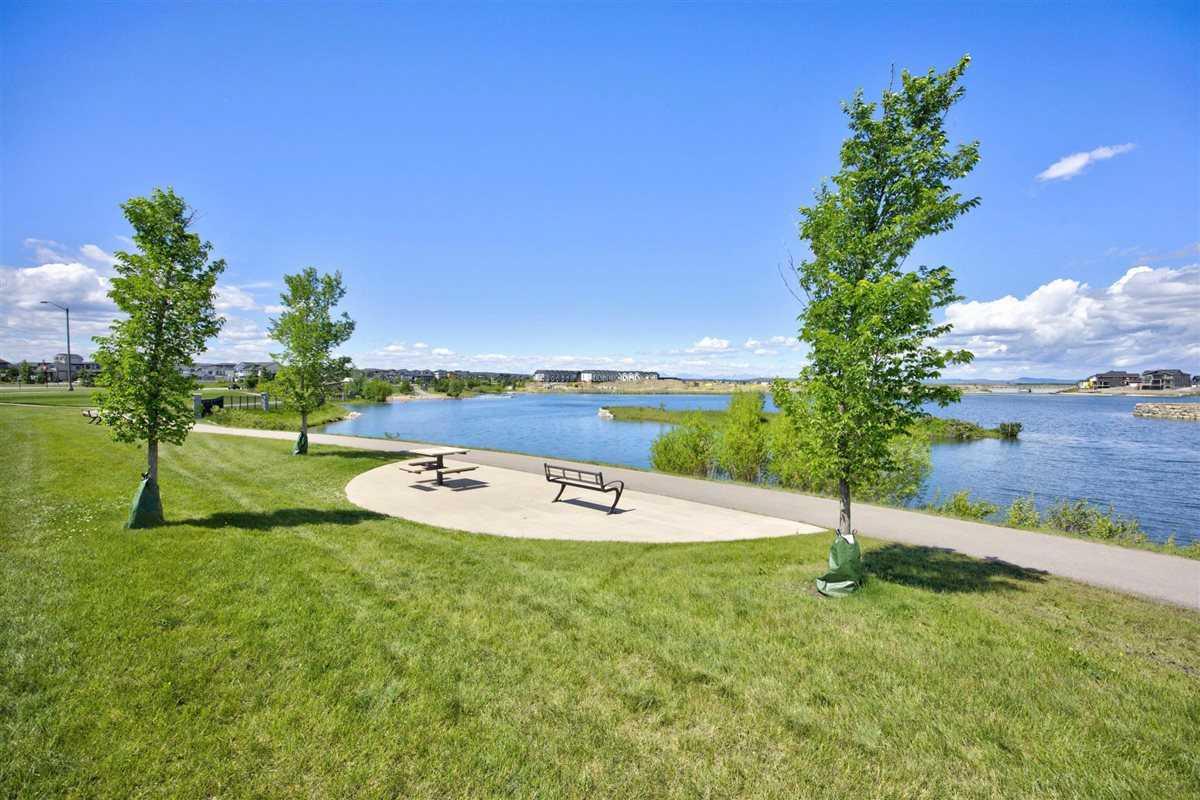 1061 Sailfin Heath 