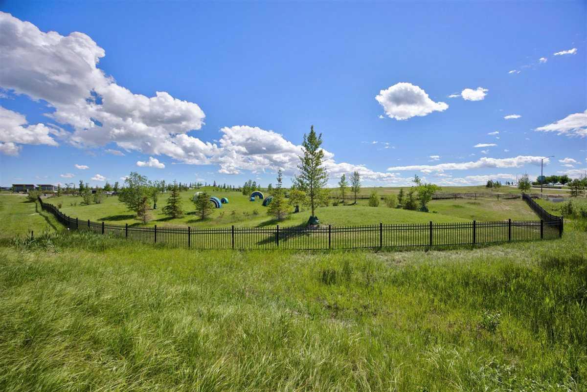 1061 Sailfin Heath 