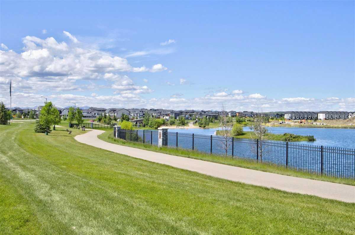 1113 Sailfin Heath 