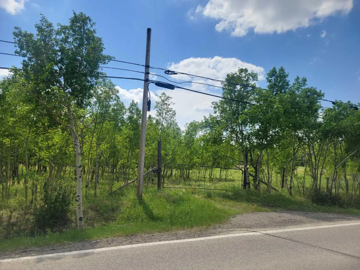 24166 Old Banff Coach Road 