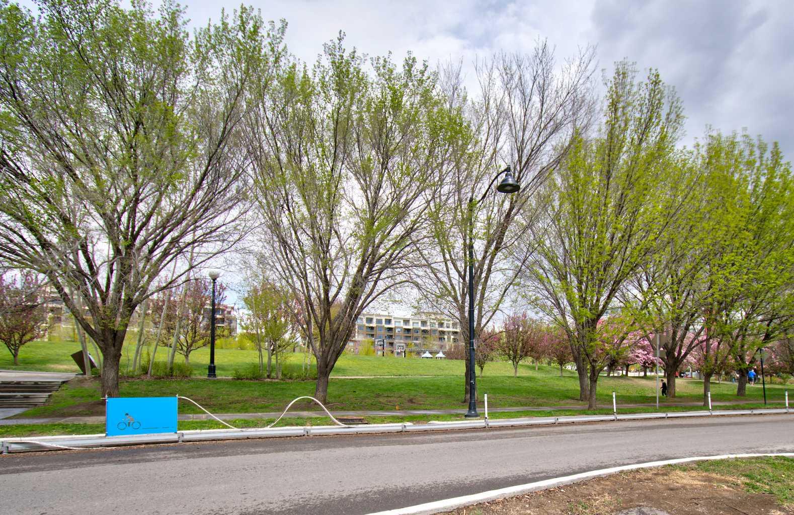 515, 955 McPherson Road NE