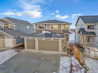 239 Chelsea  Park  