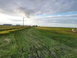  Hwy 566 RR 274  
