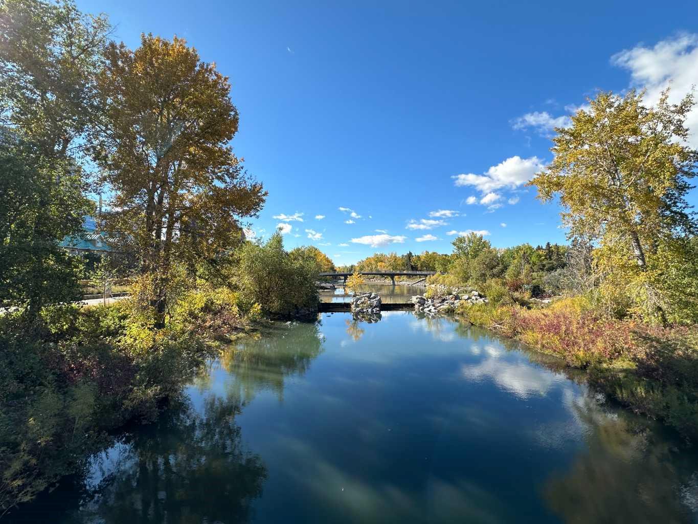 1615, 222 Riverfront Avenue SW