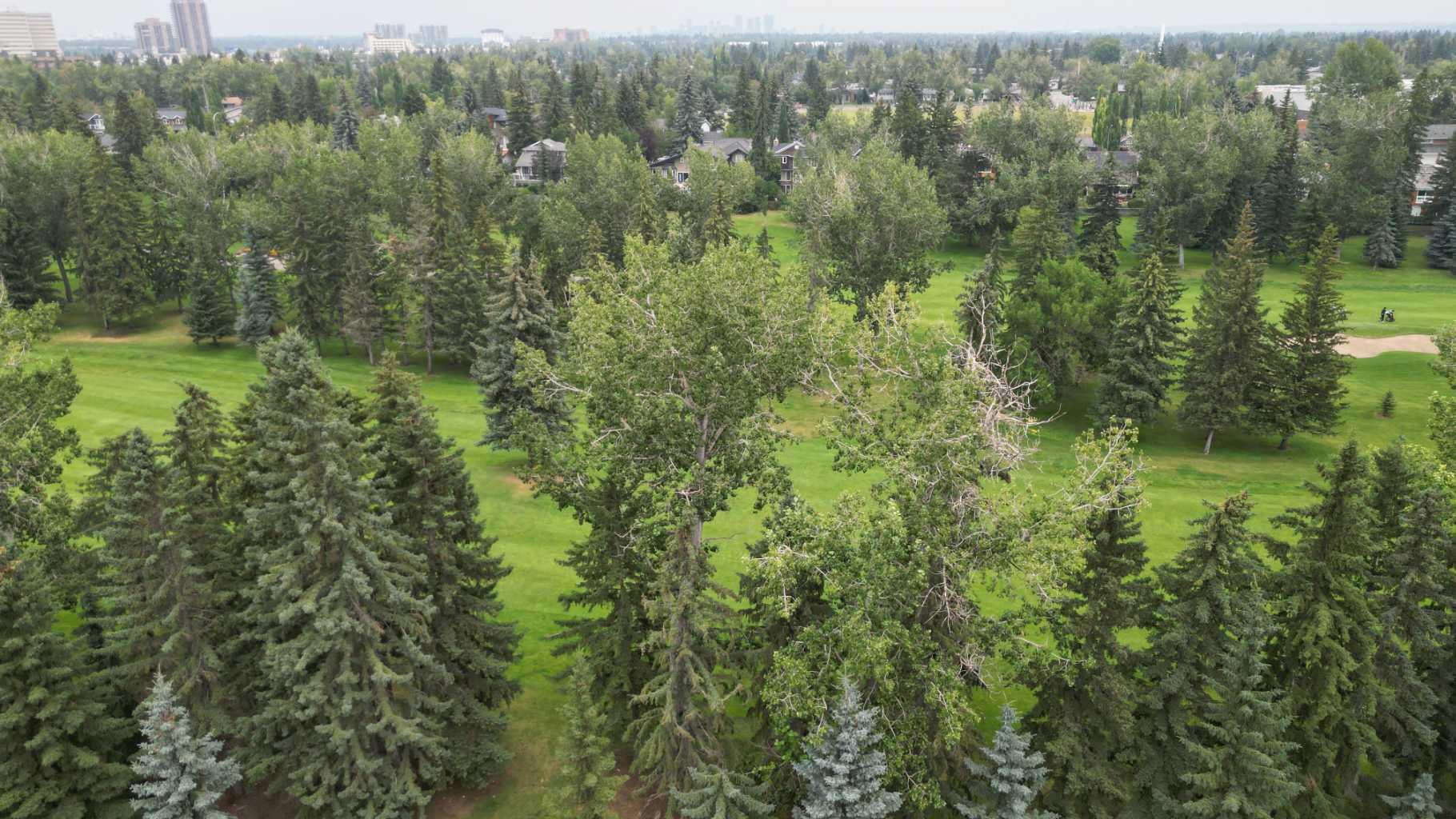 1702, 11010 Bonaventure Drive SE