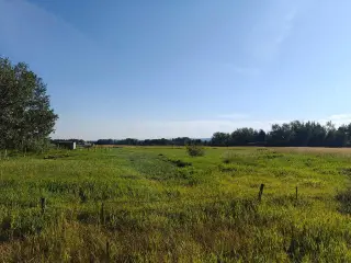  10 Acres - Township Road 240A  