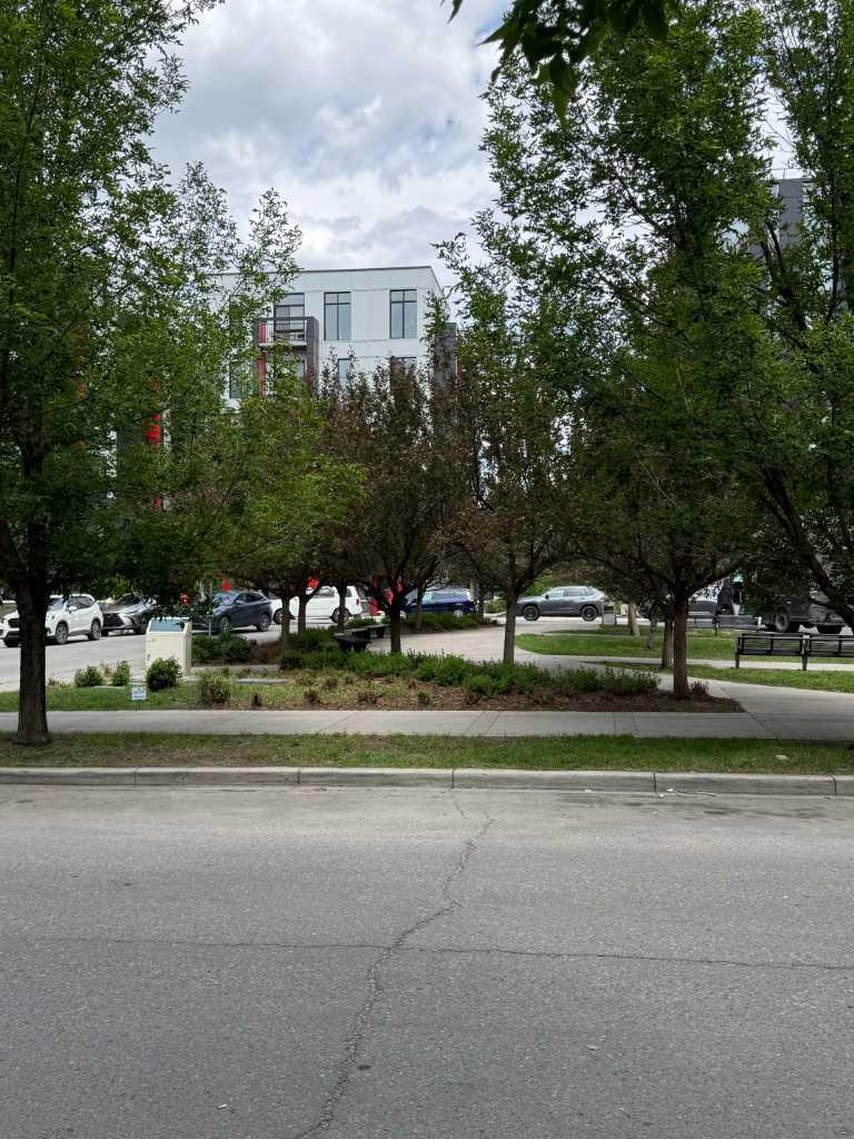 313, 955 Mcpherson Road NE