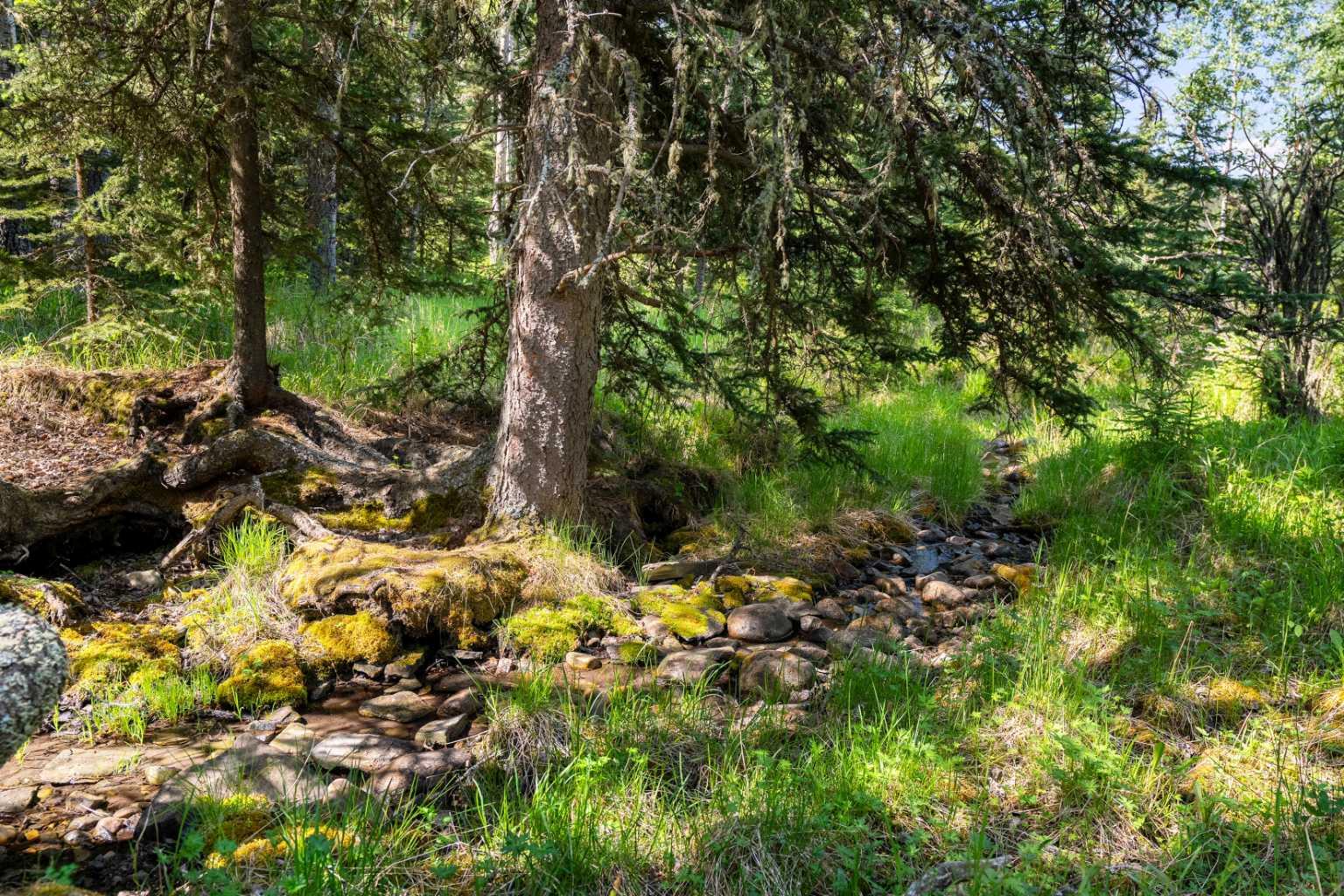 61080 Larsen Pasture Road 