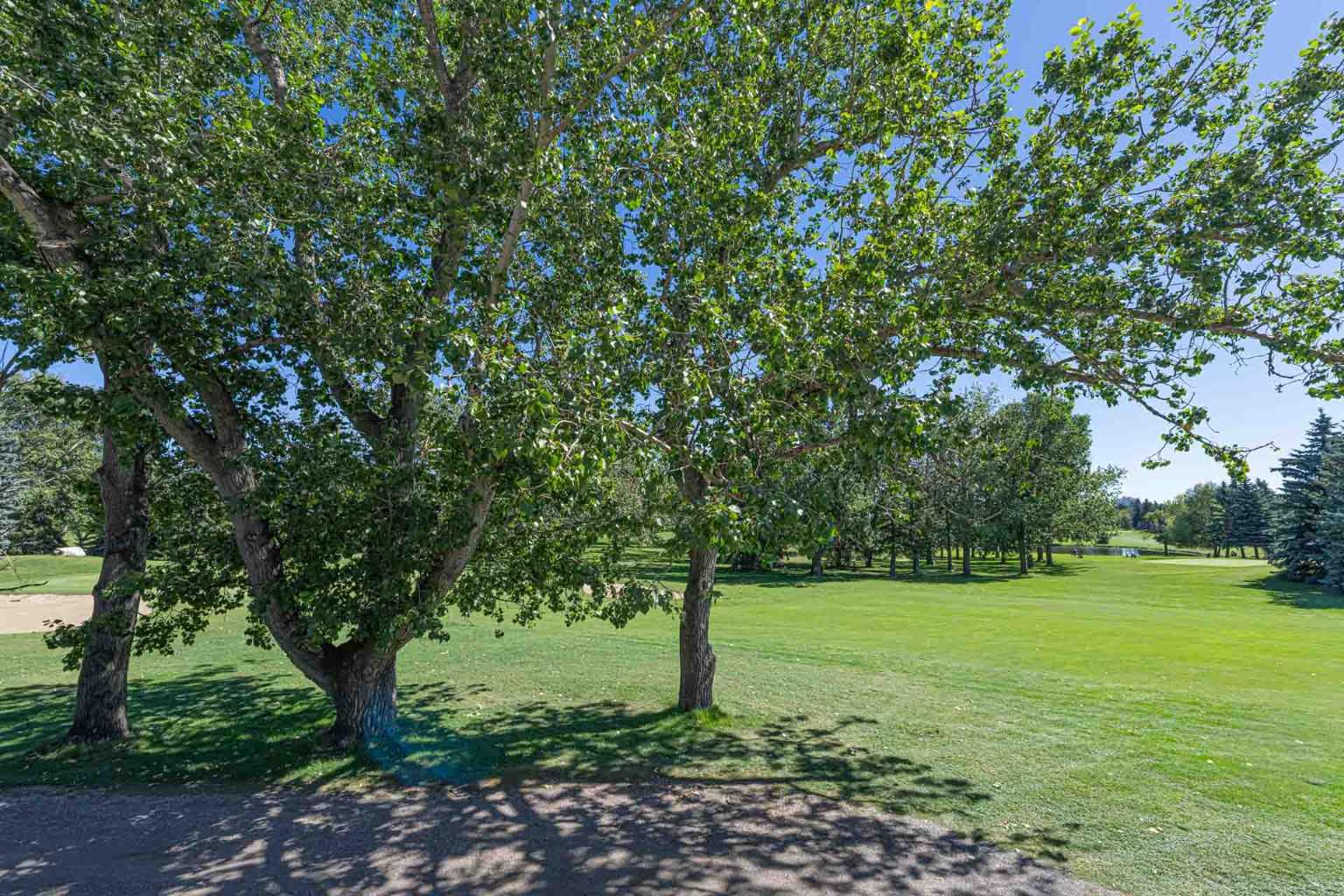 3302, 24 Hemlock Crescent SW