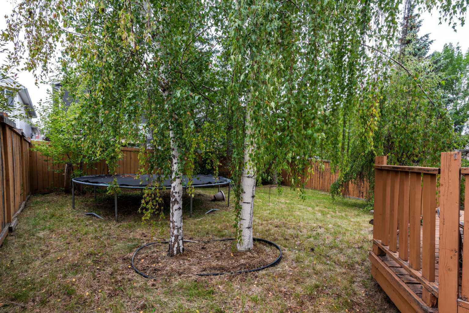 142 Somerset Park SW