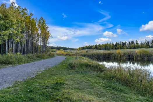 41 Evergreen Mount SW