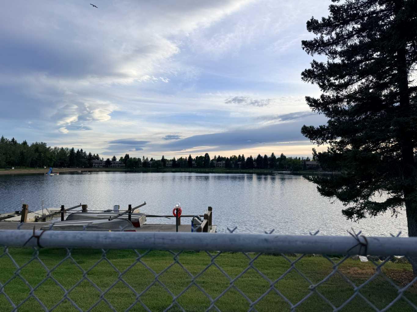 116 Midland Crescent SE