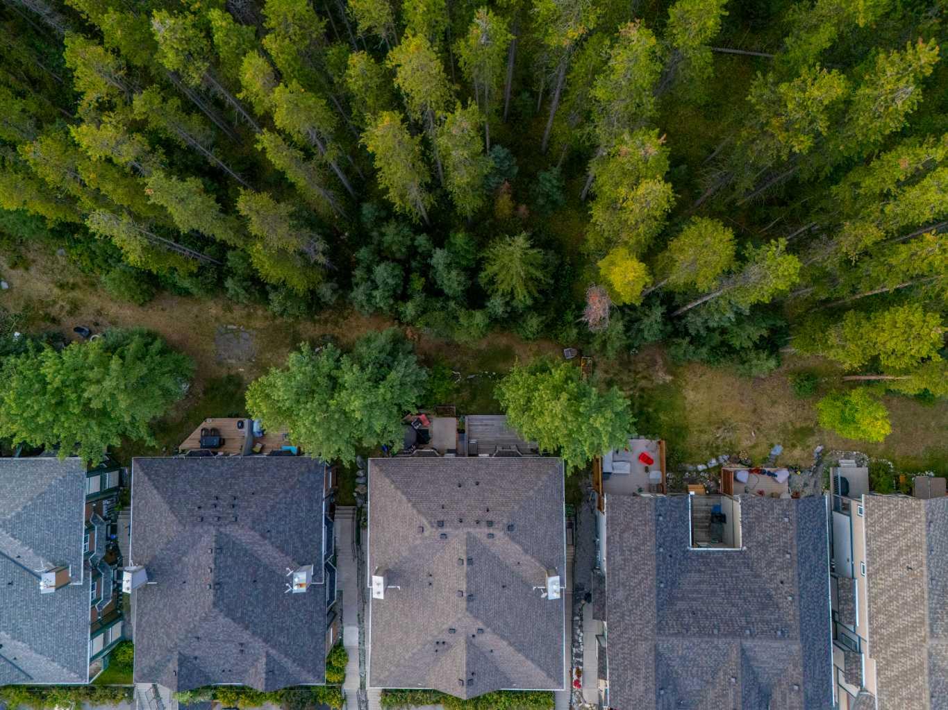 2, 827 Wilson Way 