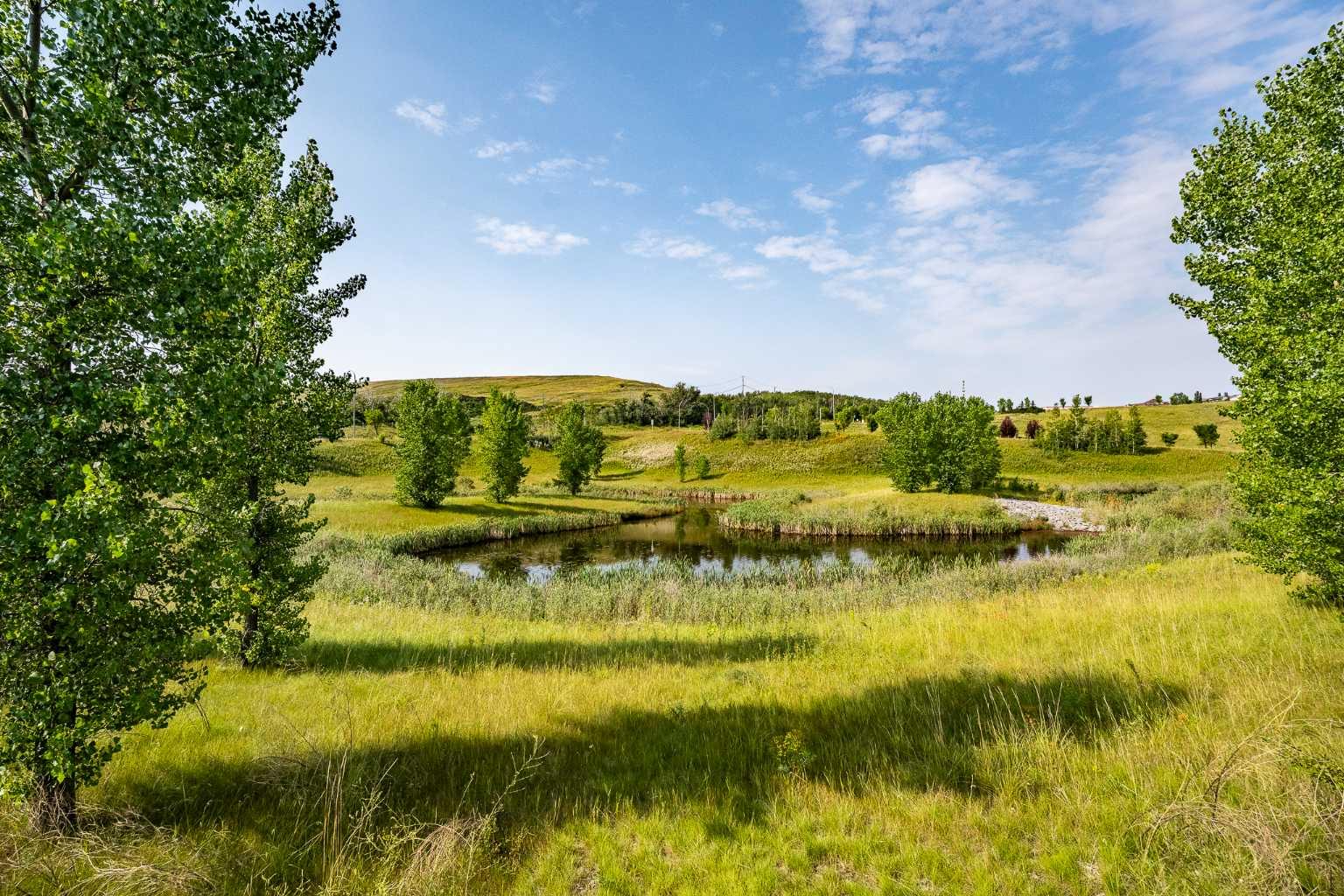 3 Chaparral Valley Gardens SE