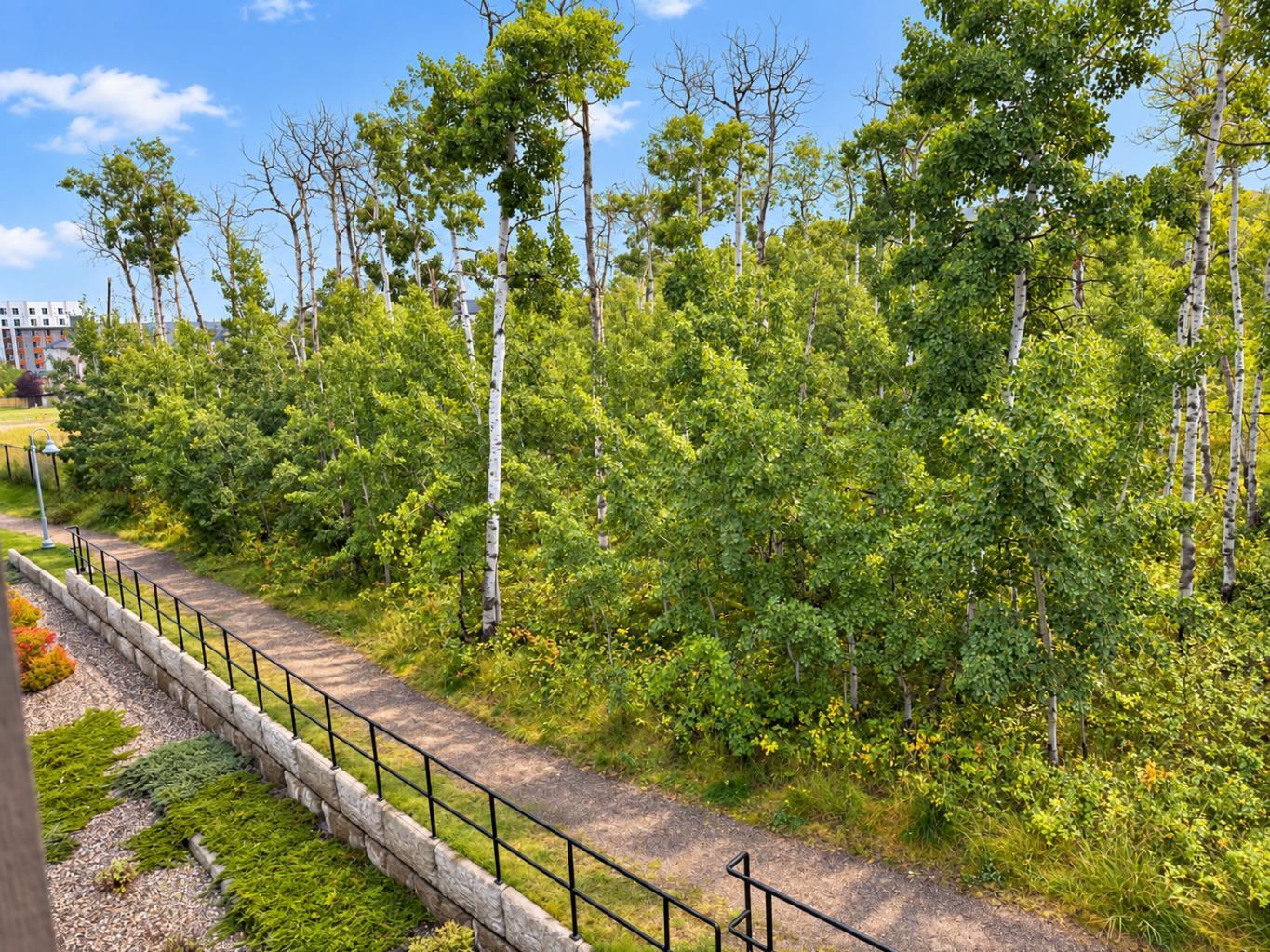 313, 25 Aspenmont Heights SW