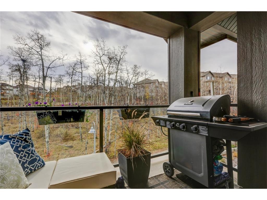 313, 25 Aspenmont Heights SW