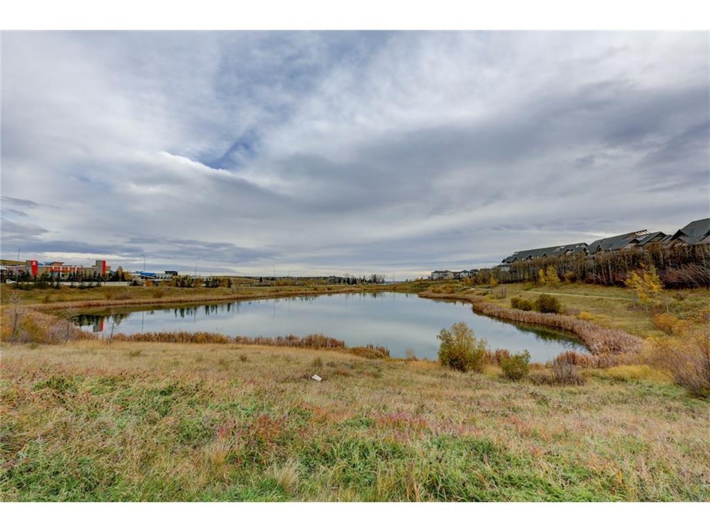 313, 25 Aspenmont Heights SW