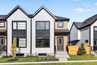 1141 Sailfin Heath 