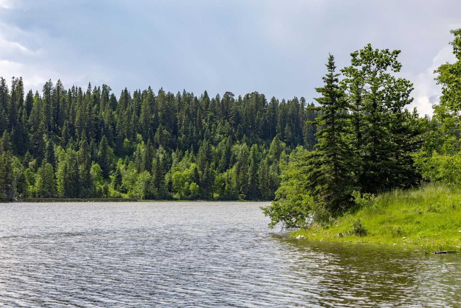 Scott Lake Ranch  