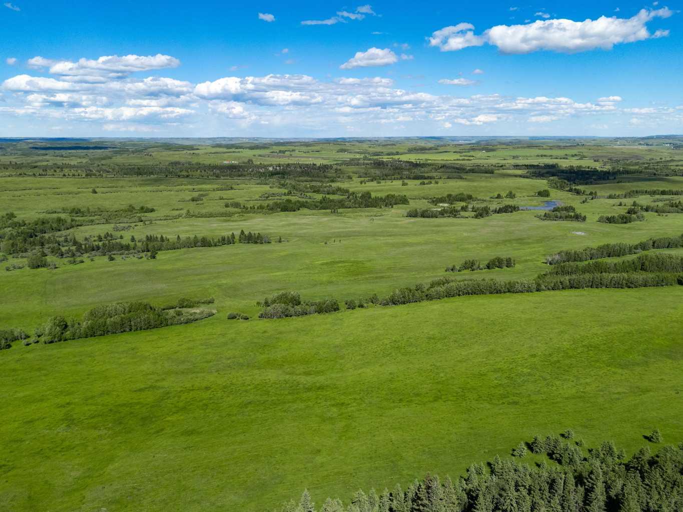 Scott Lake Ranch  